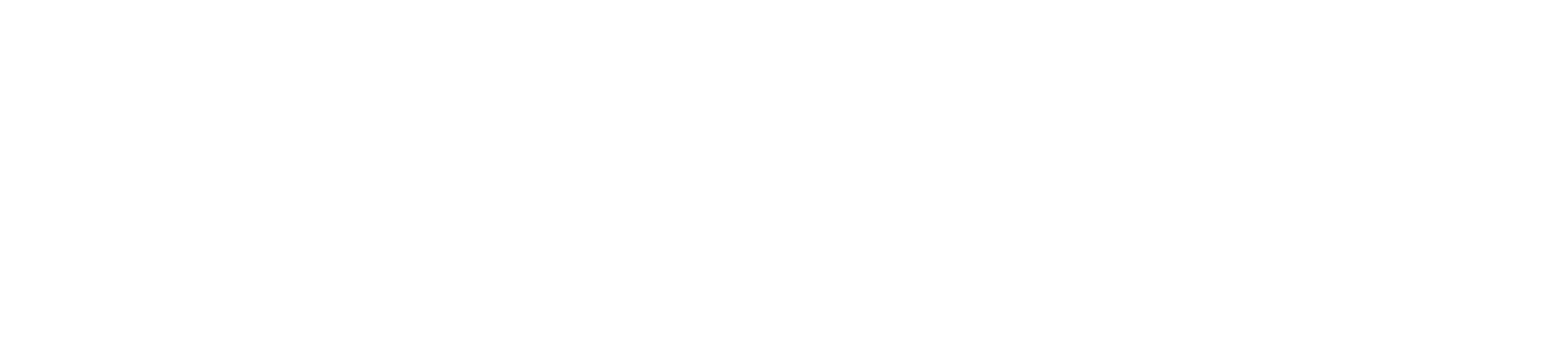 SAM — Sarti del Management